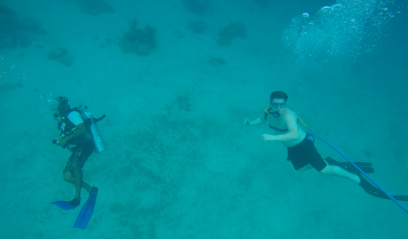 A diver finds a bag of bones on the Coco beach in Badalona